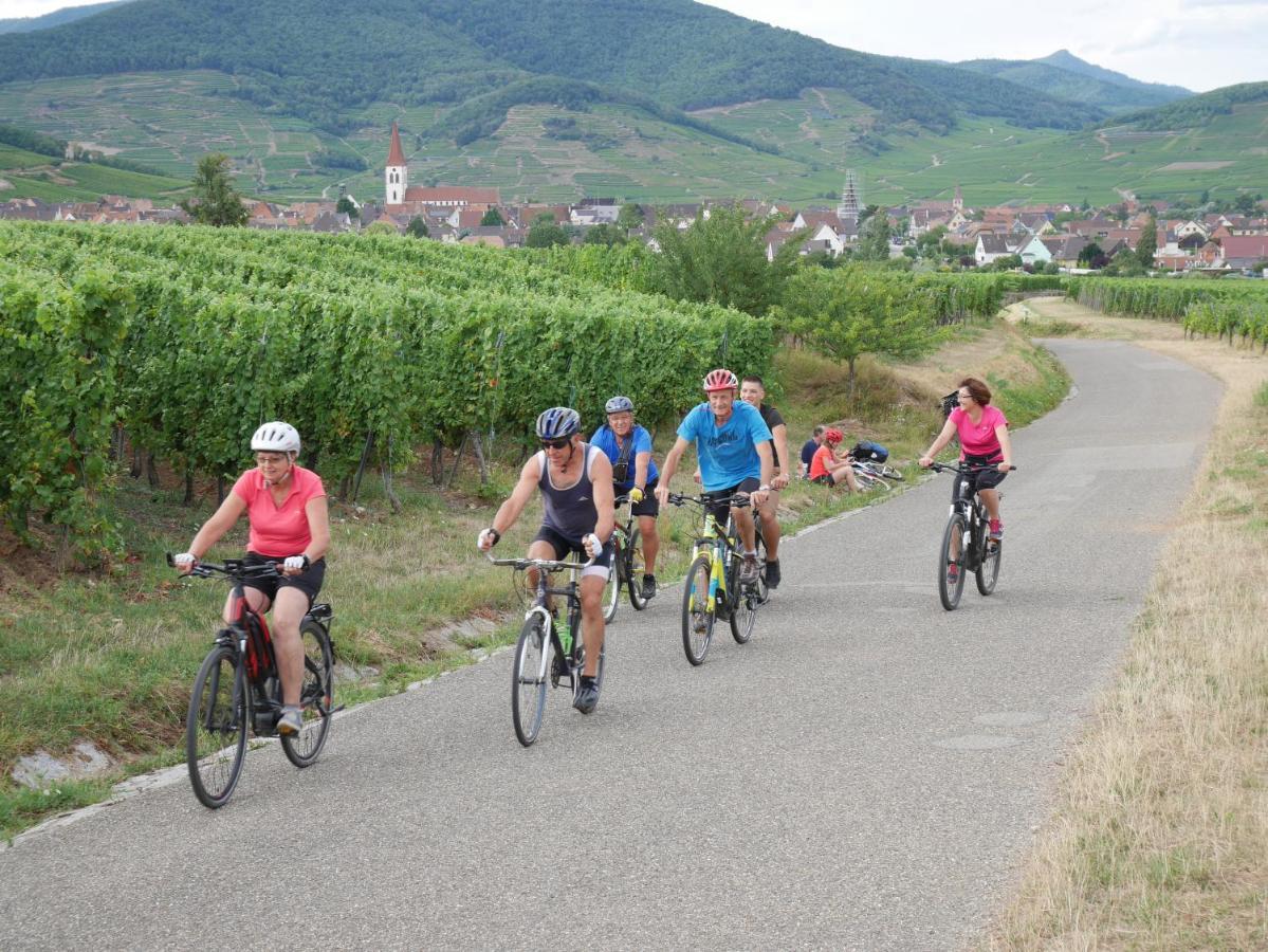 Gite Le Merle 90M2 Pres De La Route Des Vins Ammerschwihr Exterior foto