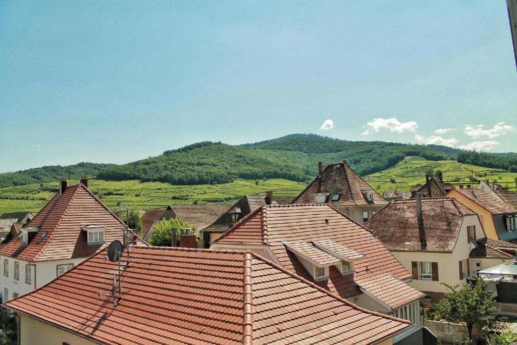 Gite Le Merle 90M2 Pres De La Route Des Vins Ammerschwihr Exterior foto