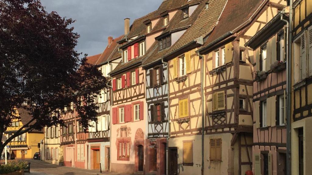 Gite Le Merle 90M2 Pres De La Route Des Vins Ammerschwihr Exterior foto