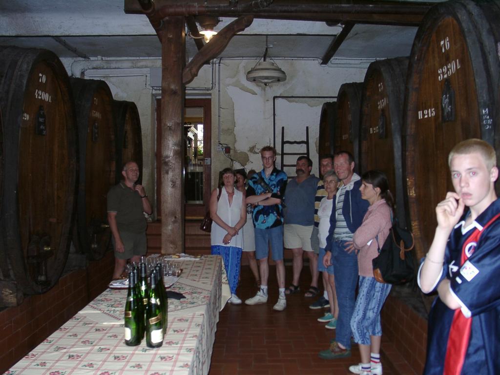 Gite Le Merle 90M2 Pres De La Route Des Vins Ammerschwihr Exterior foto